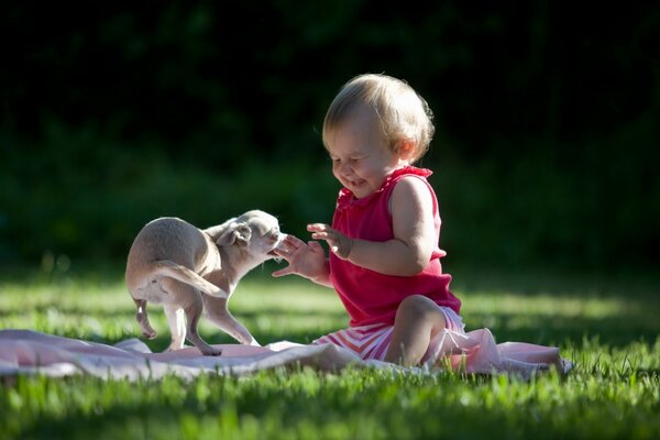 Enfant jouant avec le chien