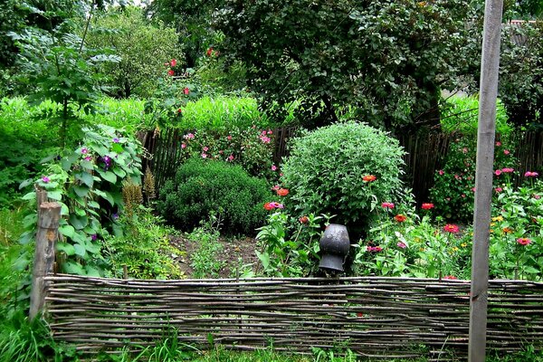 Paesaggio verde con recinzione e brocca