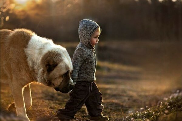 Kleiner Junge und großer Hund