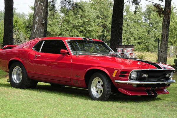 Mustang classic, red