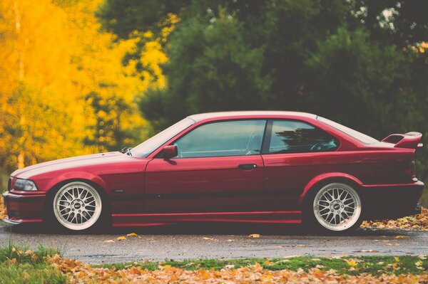 Un BMW rojo oscuro se para en la carretera en hojas amarillas de otoño