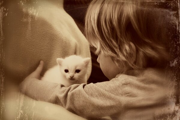 Un niño cuida a un gatito
