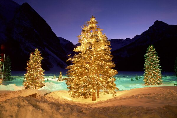 Decoraciones de año nuevo en árboles de Navidad en las montañas