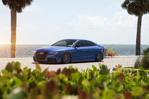 Blue Audi RS5 coupe on the coast
