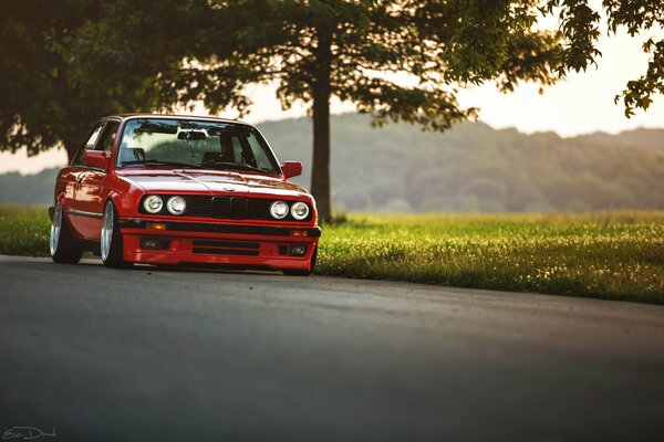 BMW rojo en la pista de sueño de fondo de un árbol y un campo