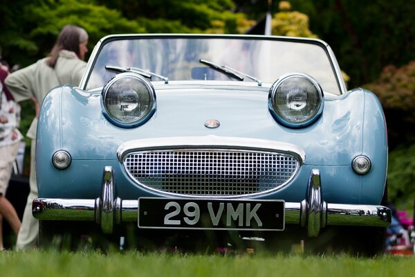 Blue sports car on the grass