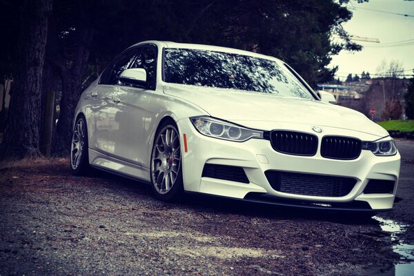 Beautiful advertising photo of a German white car