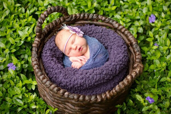 Neugeborenes Baby in einem Weidenkorb. Ein Fotoshooting für die Kleinen. Schlafendes Baby auf einer Lichtung