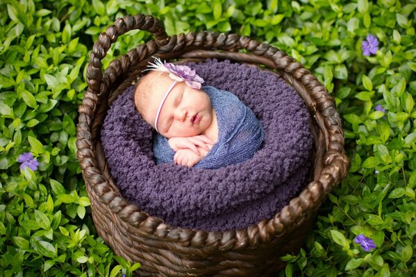 Bebé recién nacido en una cesta de mimbre. Sesión de fotos de bebés. Bebé durmiendo en un claro