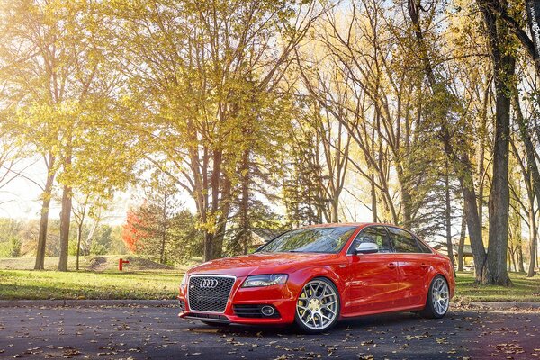 Coche audi en color rojo en el parque