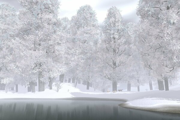 Forest lake in the winter forest. Snow trees