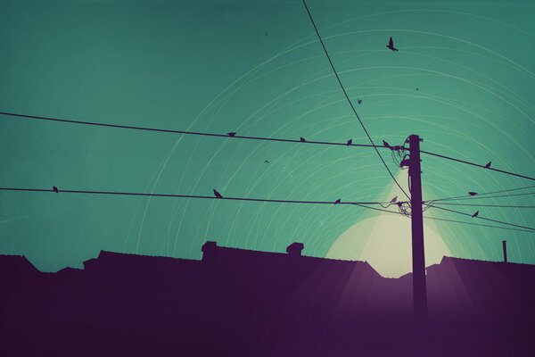 A la luz de la puesta de sol, un pájaro flotando en el fondo de los cables