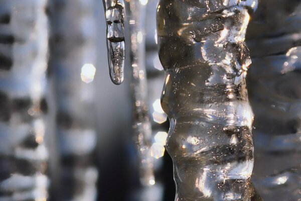 Grandi ghiaccioli nella grotta invernale