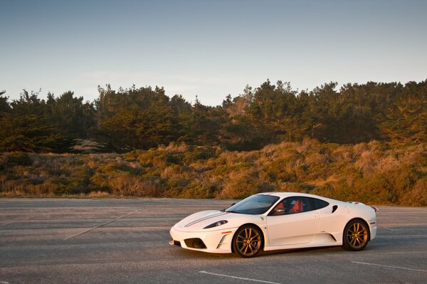 Coche blanco en la pista de asfalto