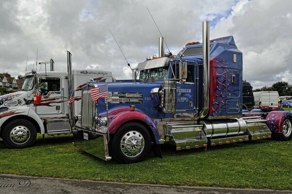 Camions modernes debout sur la pelouse verte