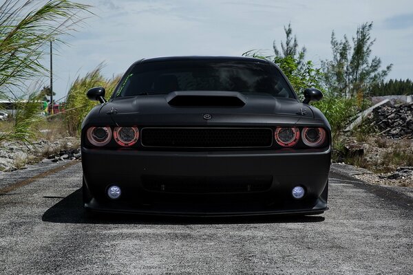 Auto dodge challenger schwarz und matt