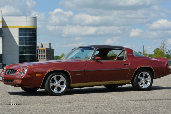 Burgundy Chevrolet Camaro on city asphalt