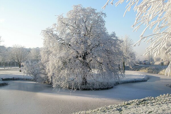 Śnieżna opowieść nad rzeką