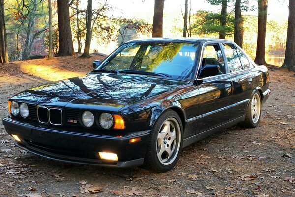 Negro BMW coche en la naturaleza