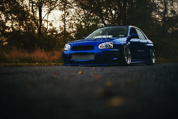 Subaru impreza azul brillante en la carretera de otoño