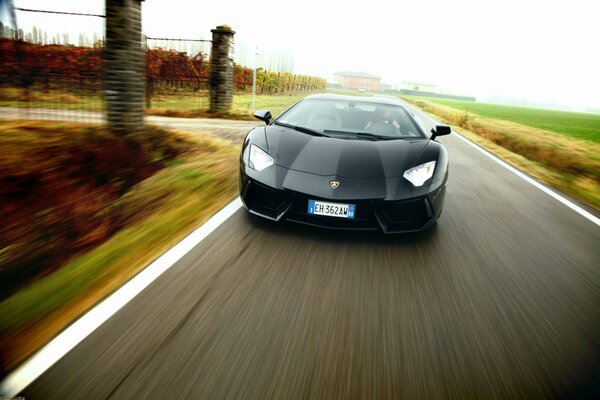 Lamborghini just flies at speed