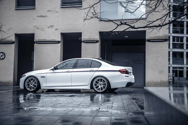 BMW está parado en la calle en tiempo nublado