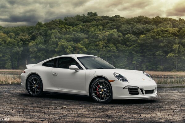 White Porsche 911 on a background of dense trees