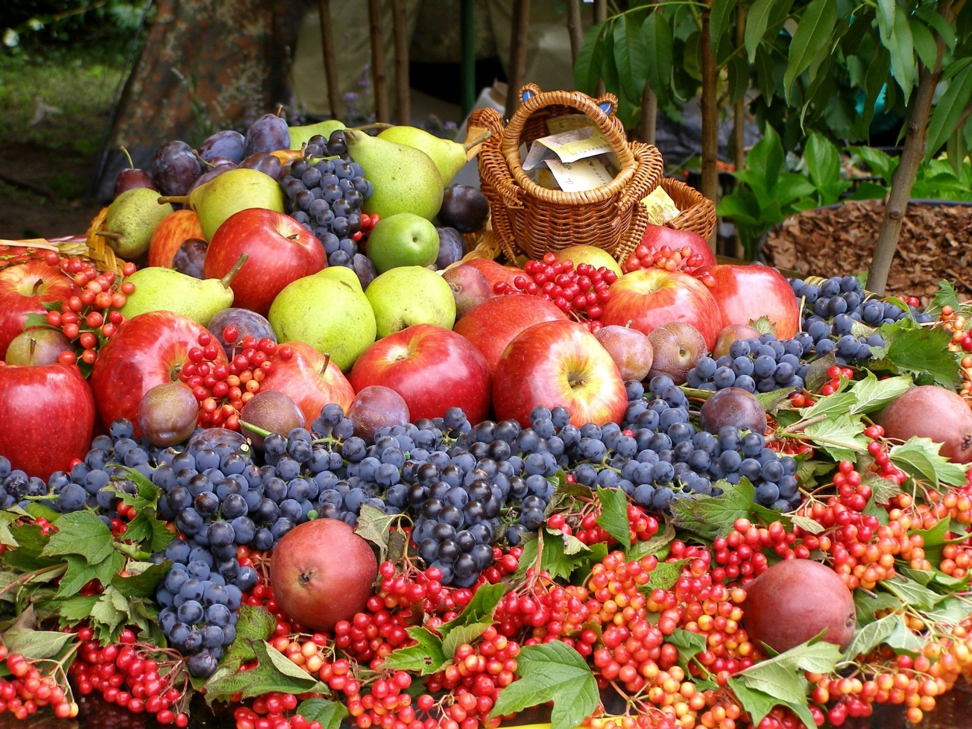 frutta uva molto mele