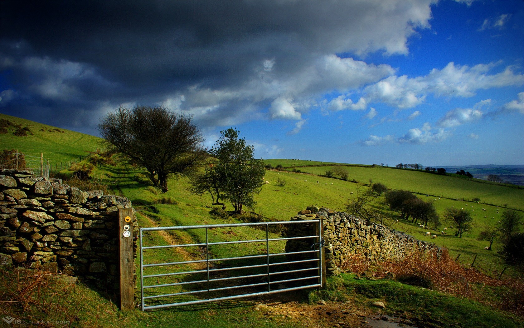 gates the field cloud