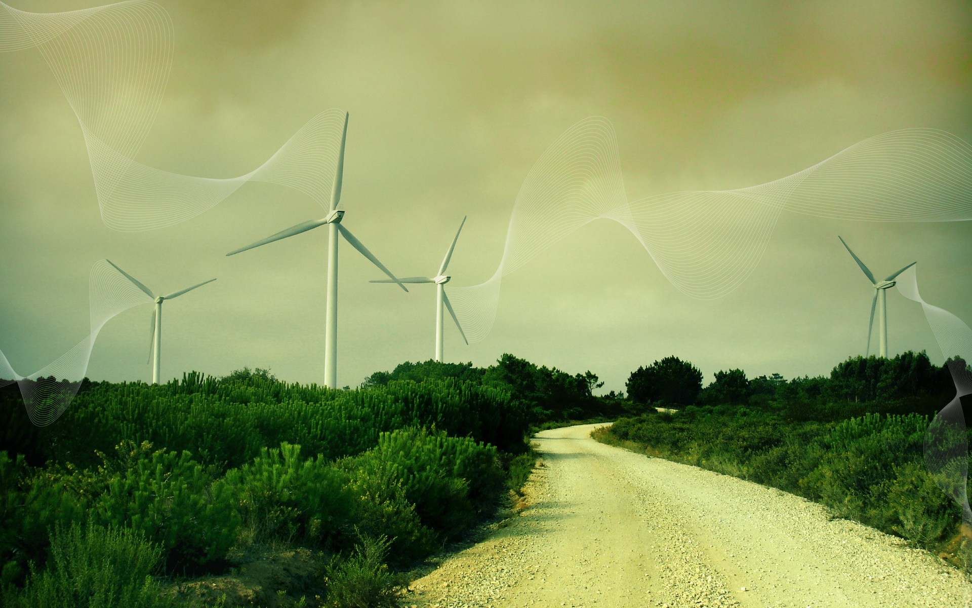 wind turbines road grass line