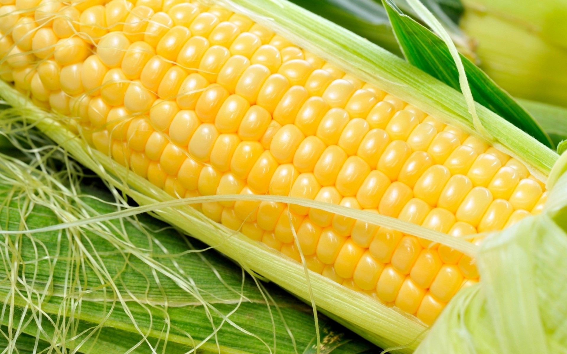 food corn cob