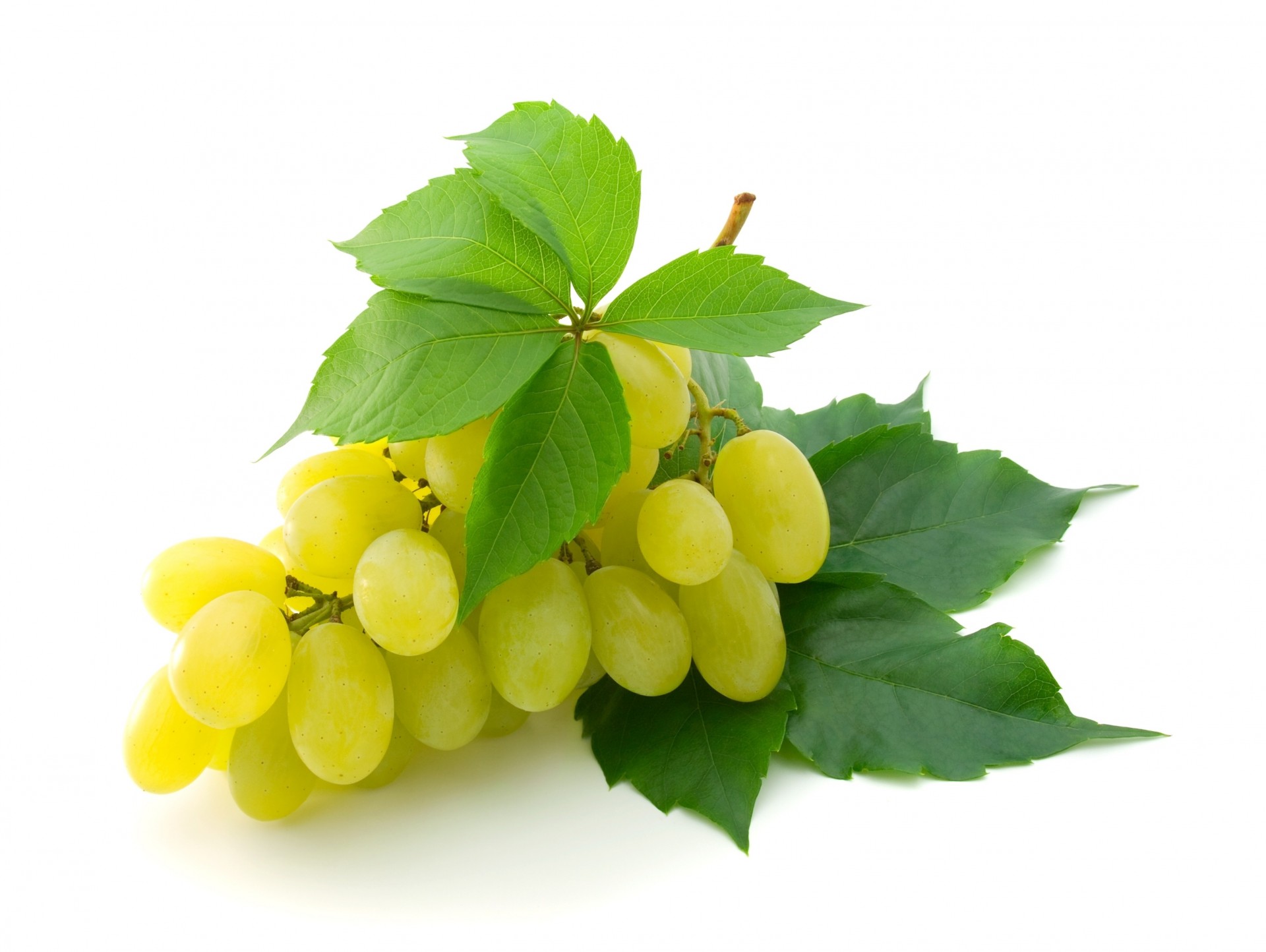 heet grapes white background brush