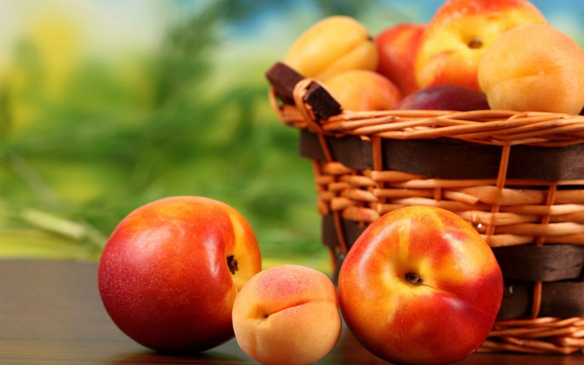 fruits abricots nectarine pêches