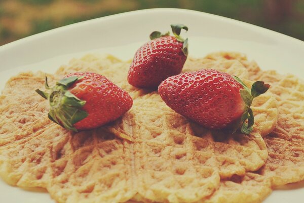 Dos gofres con tres fresas