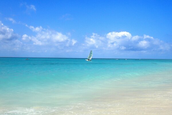 White sail on the summer sea