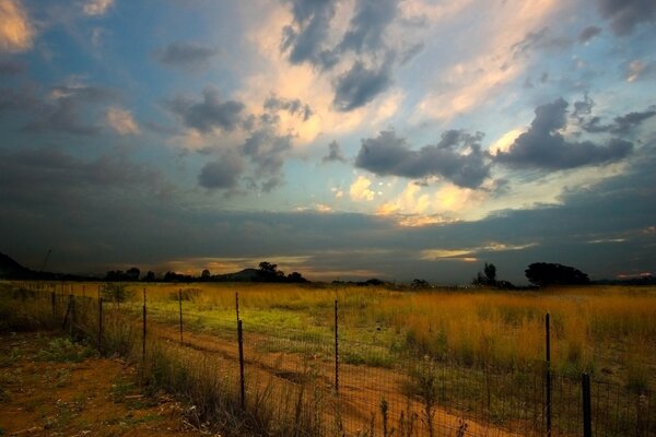 Cerca en el desierto de la tarde bajo las nubes de grasa