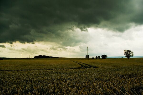 Camino en el campo a los molinos de viento