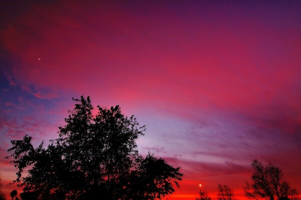 Red sunset over the black forest