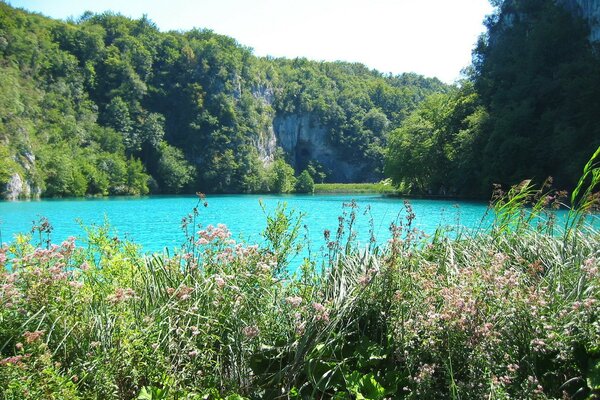 Meadow by turquoise lake