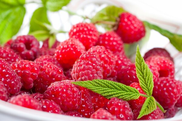 Raspberry berry with leaves on a plate