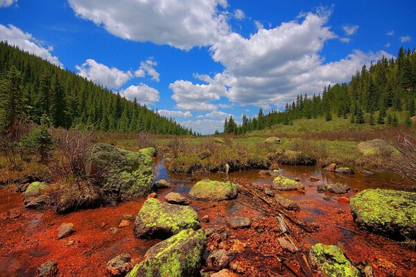 Endless swamp under passing clouds