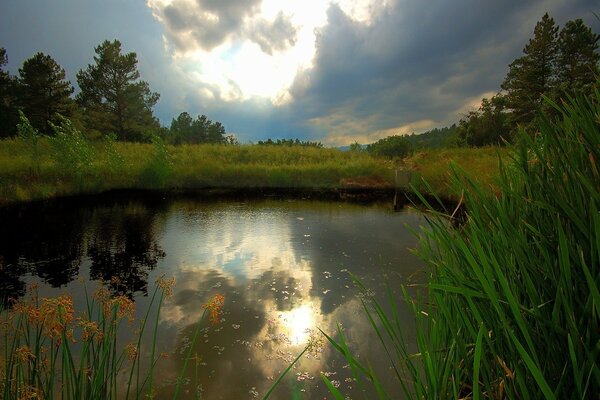 Reflection of sunlight in the water of a small lake