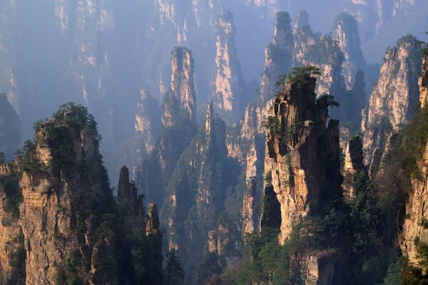 Chinese Mountains and Forest