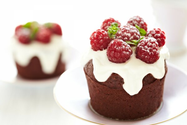 Pastel de chocolate adornado con frambuesas