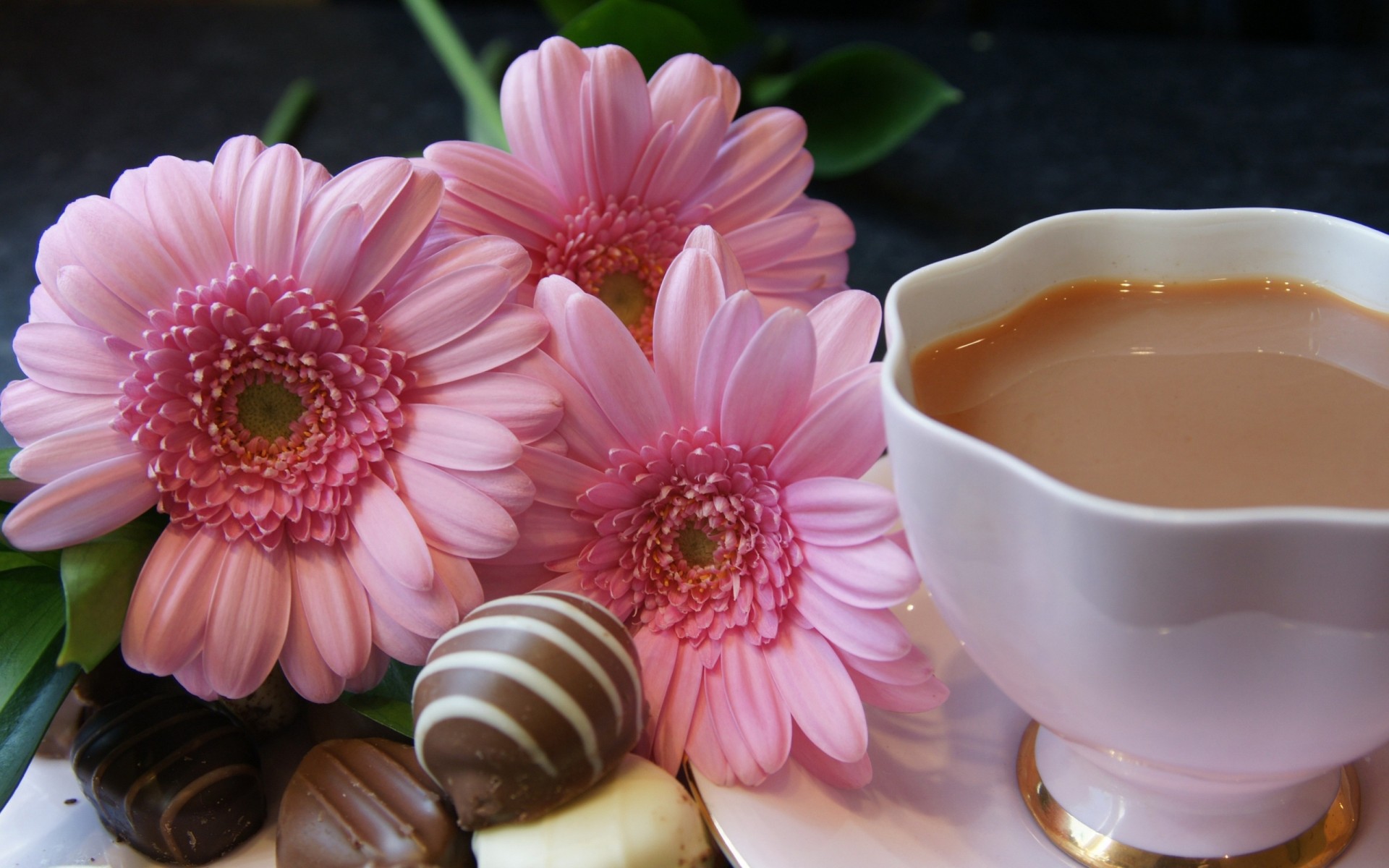 cukierki gerbera kwiaty gerbery