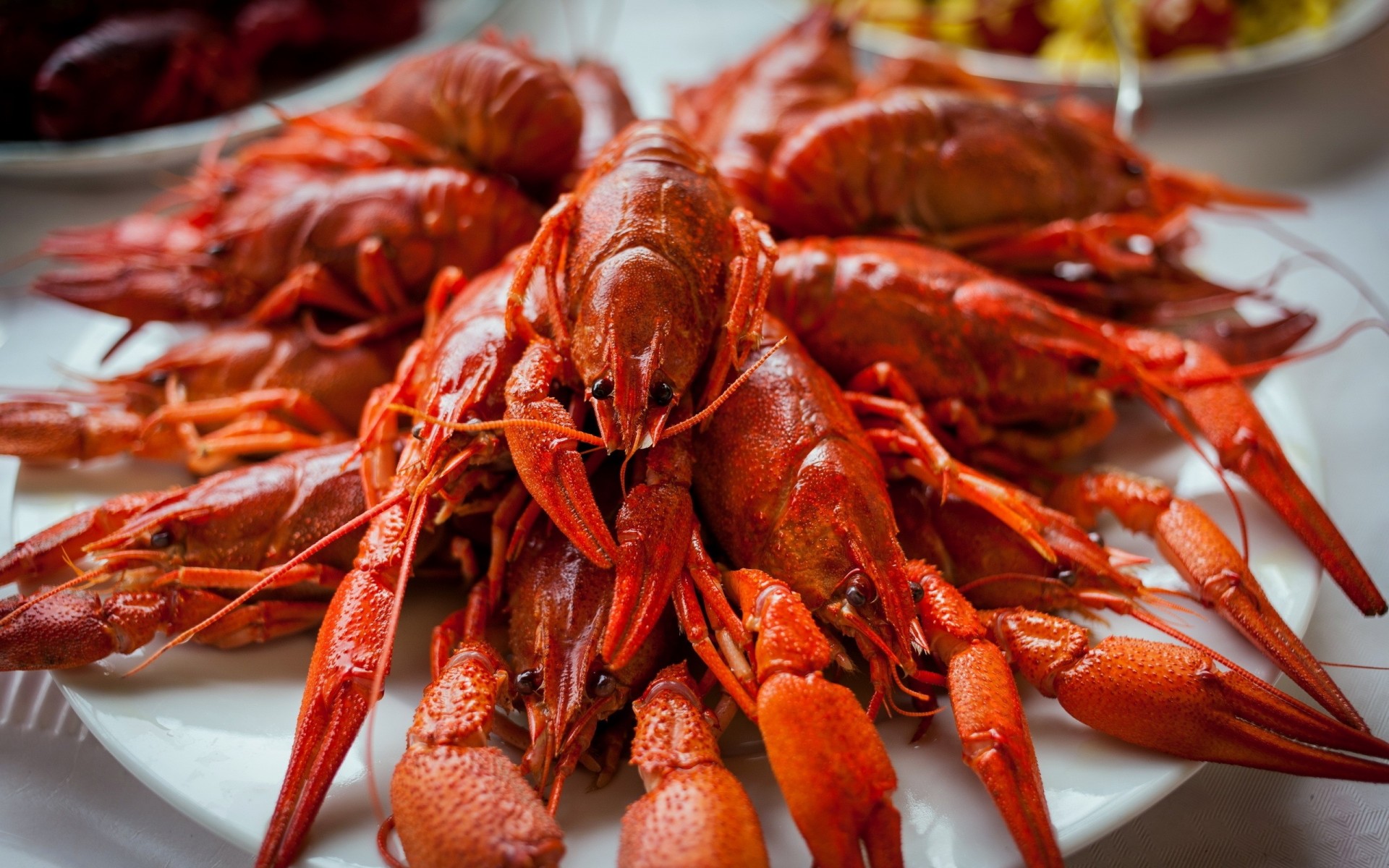 boiled beer crayfish red