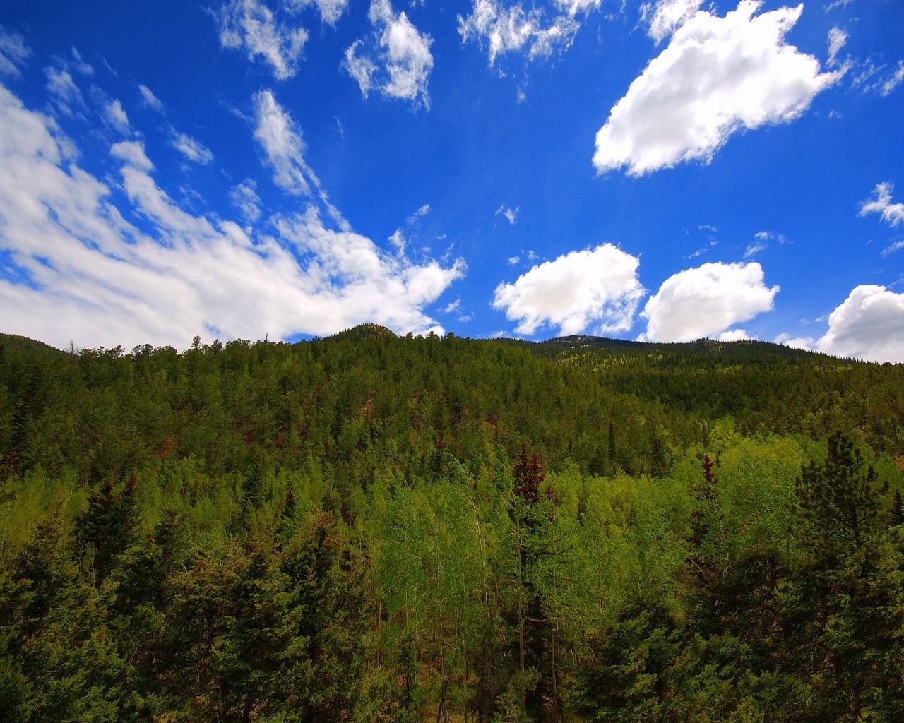 alberi nuvole cielo montagne