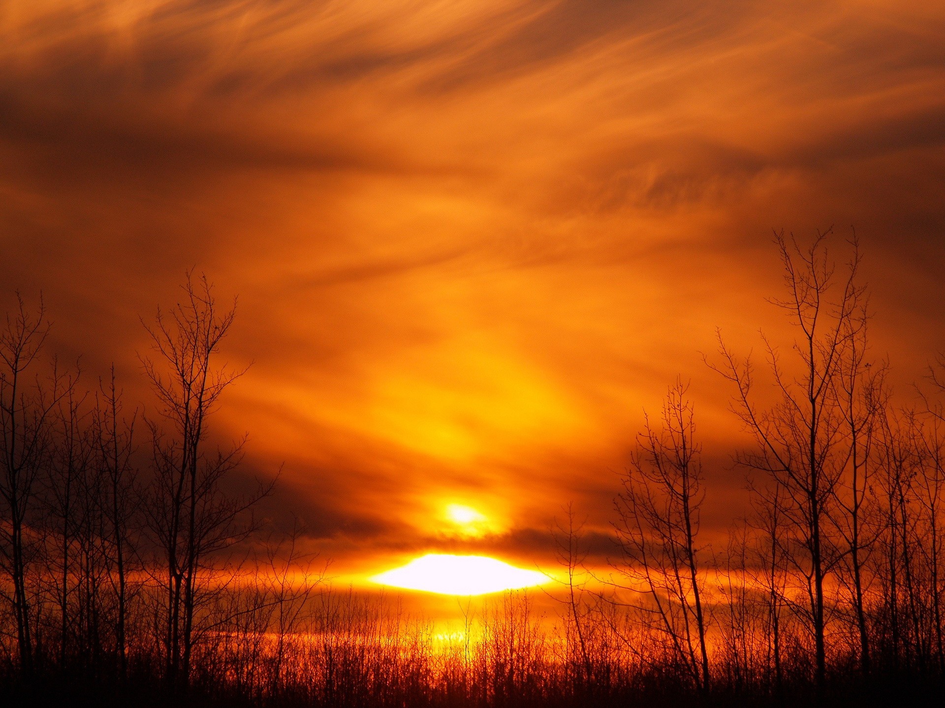 sonnenuntergang sonne bäume gelb