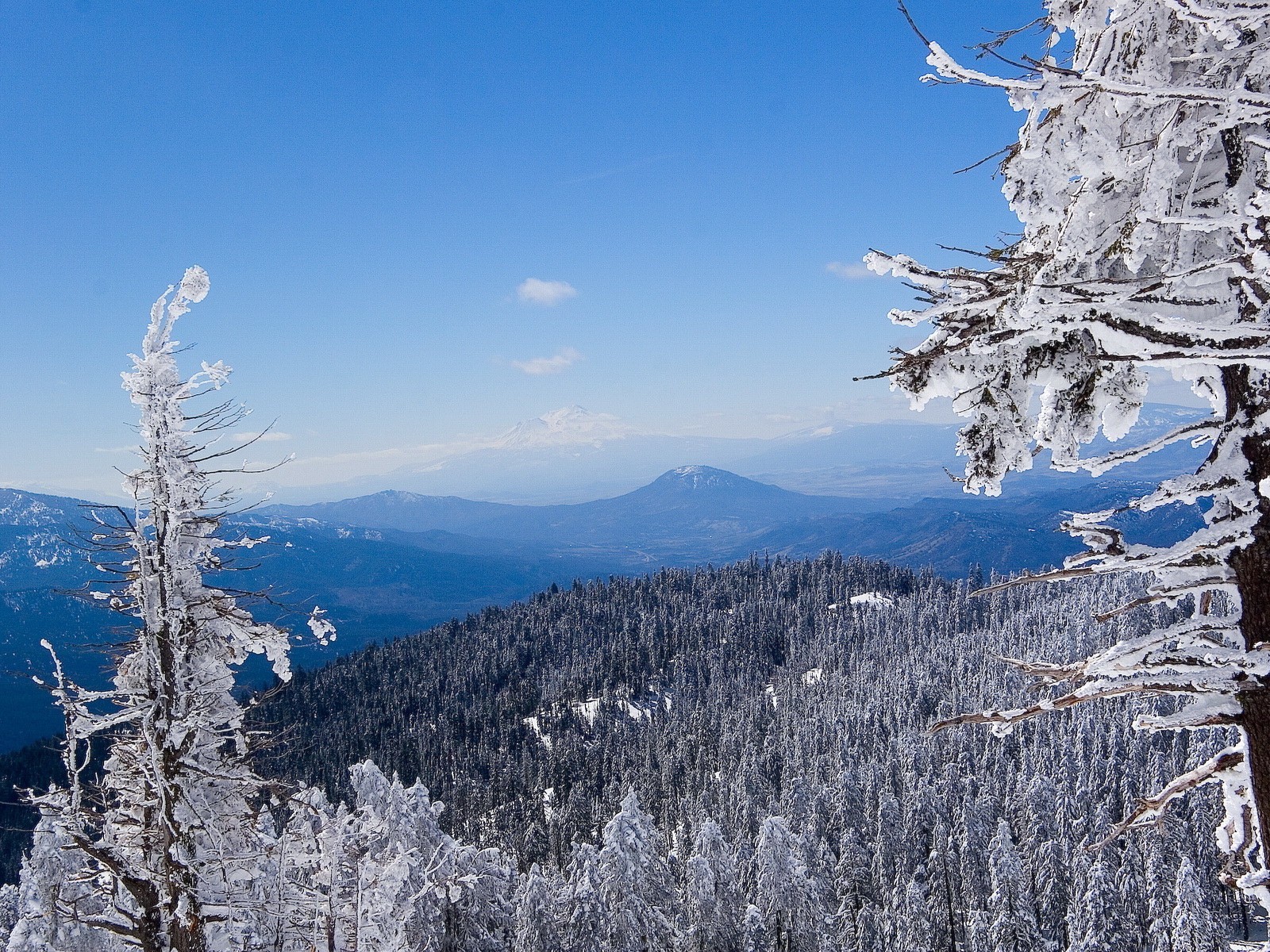 inverno foresta neve montagna blu bianco