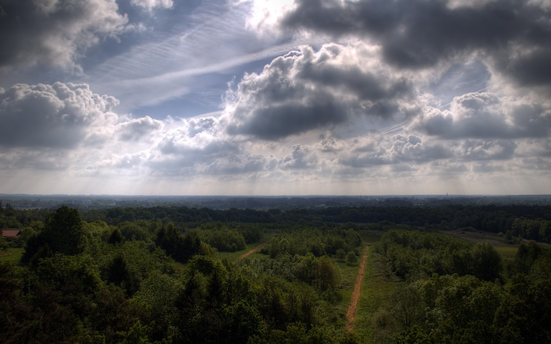 clouds tree road